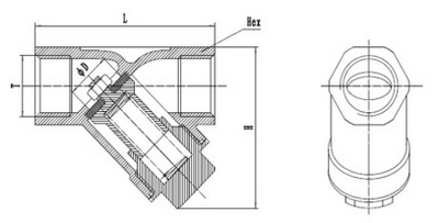 Stainless Steel Y-Spring Check Valve